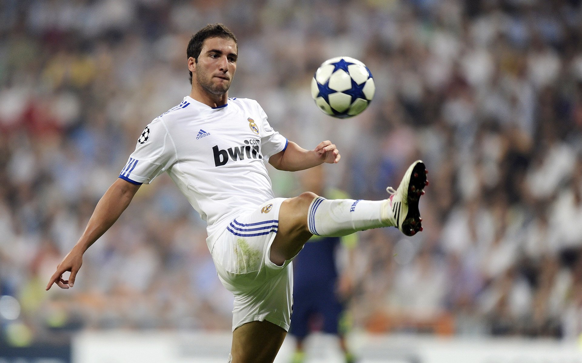 “美洲狮队在橄榄球冠军锦标赛中的关键胜利”