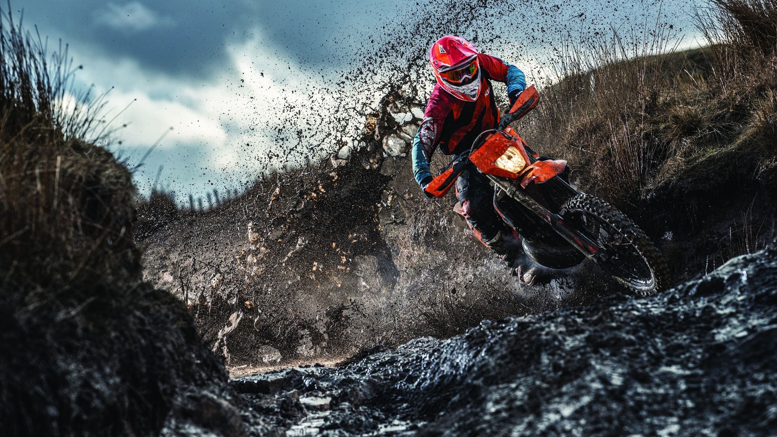 小杨遭遇成长困境,这三位全明星也曾经历,小杨遭遇成长困境,这三位全明星也曾经历过